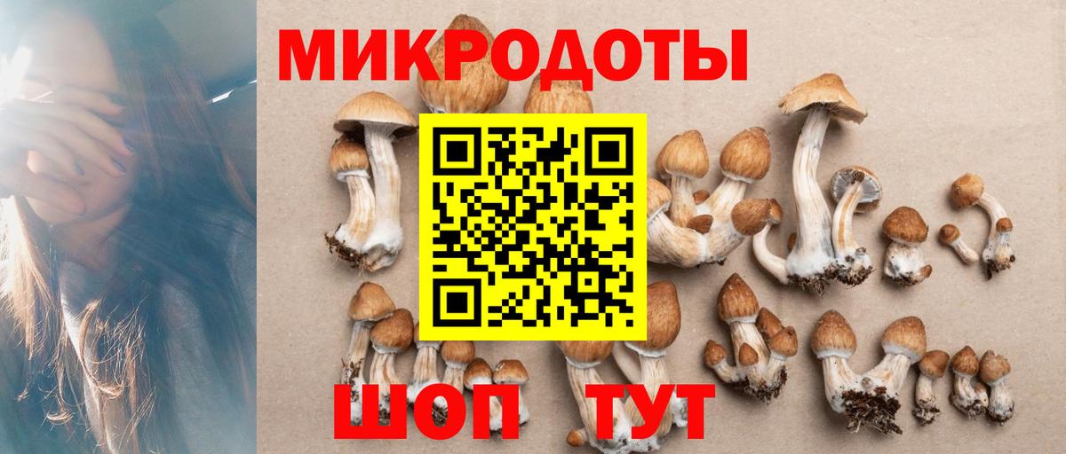Нерюнгри  Псилоцибиновые грибы мицелий  Псилоцибиновые грибы ЛСД  Вход с VPN 